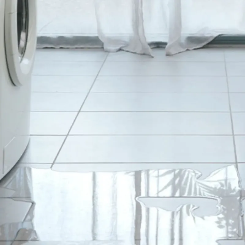Appliance Leak Cleanup in Saint Pete Beach, FL